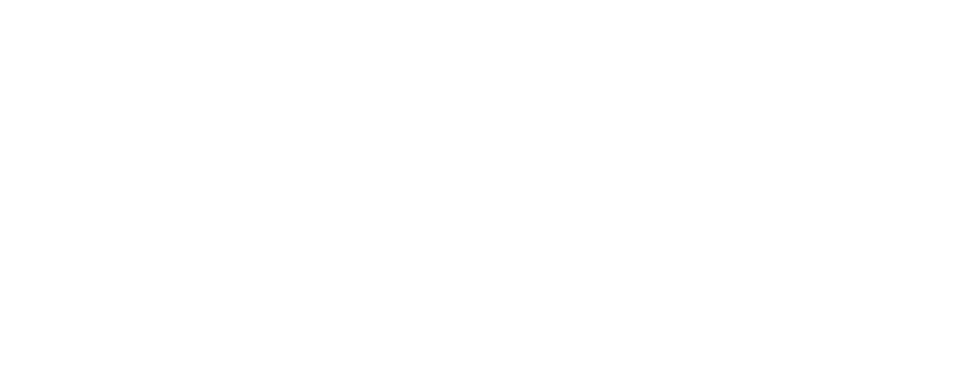 Elite Party Buses